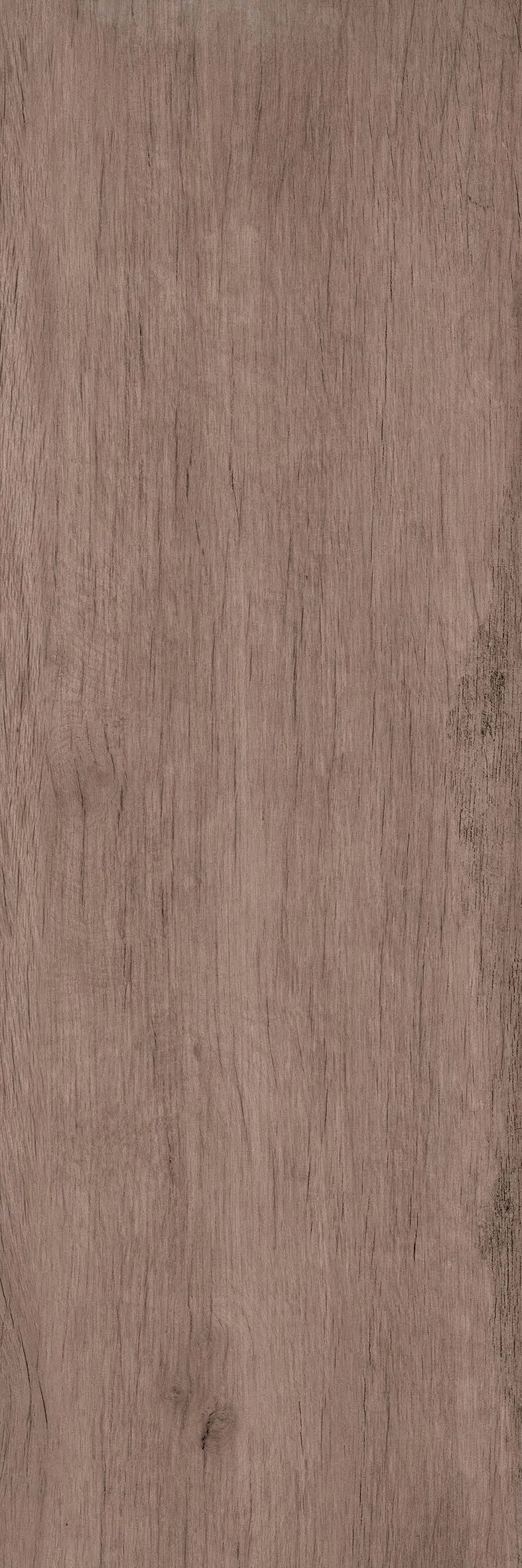 Terrassenplatte Feinsteinzeug TimberTwo 40 x 120 x 2 cm braun