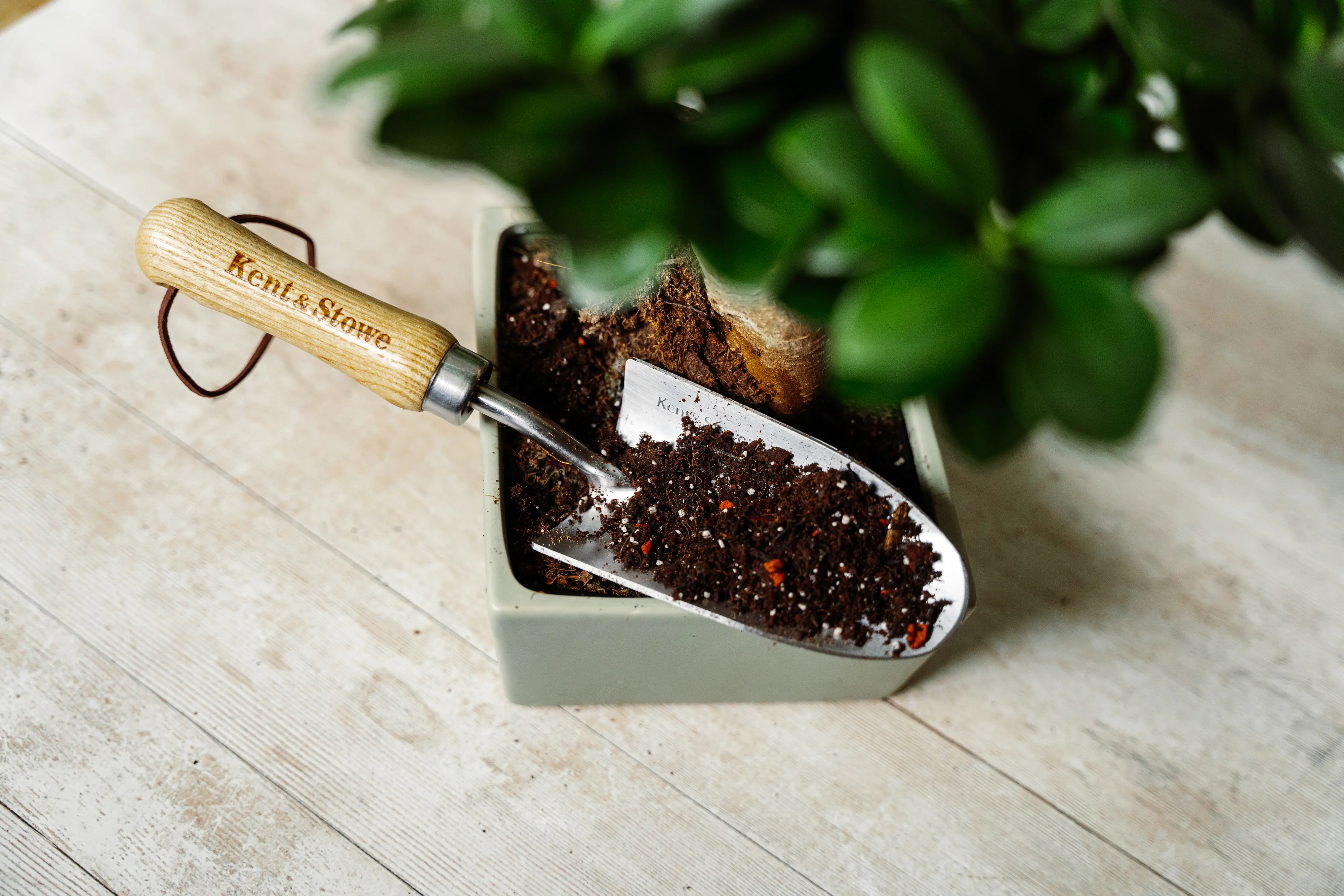 Westland Bonsai Erde torffrei 4 L