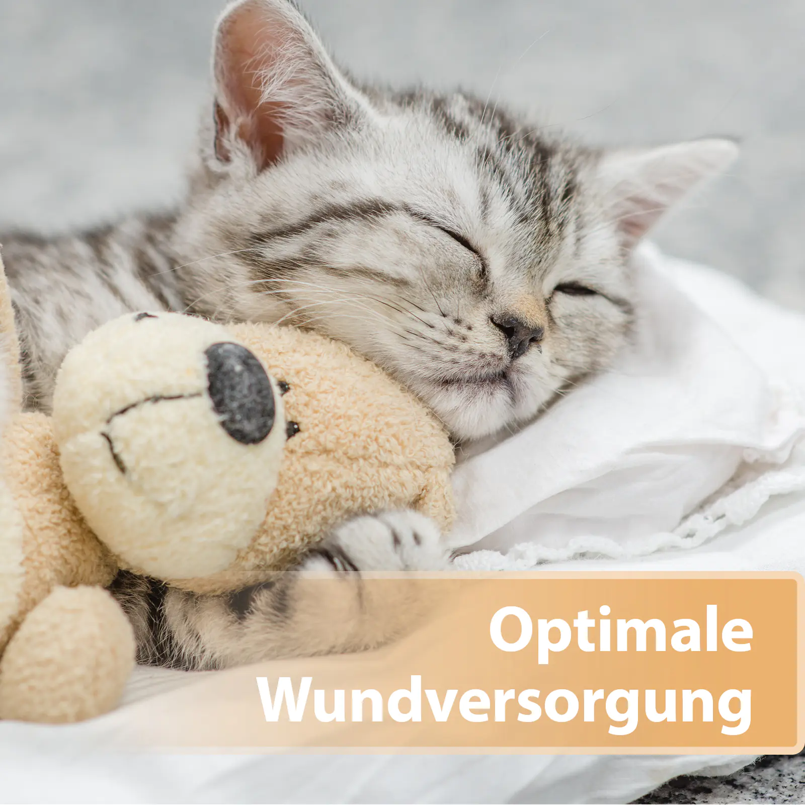 Felisept Wundspray für Katzen 75 ml Felisept Wundspray für Katzen 75 ml