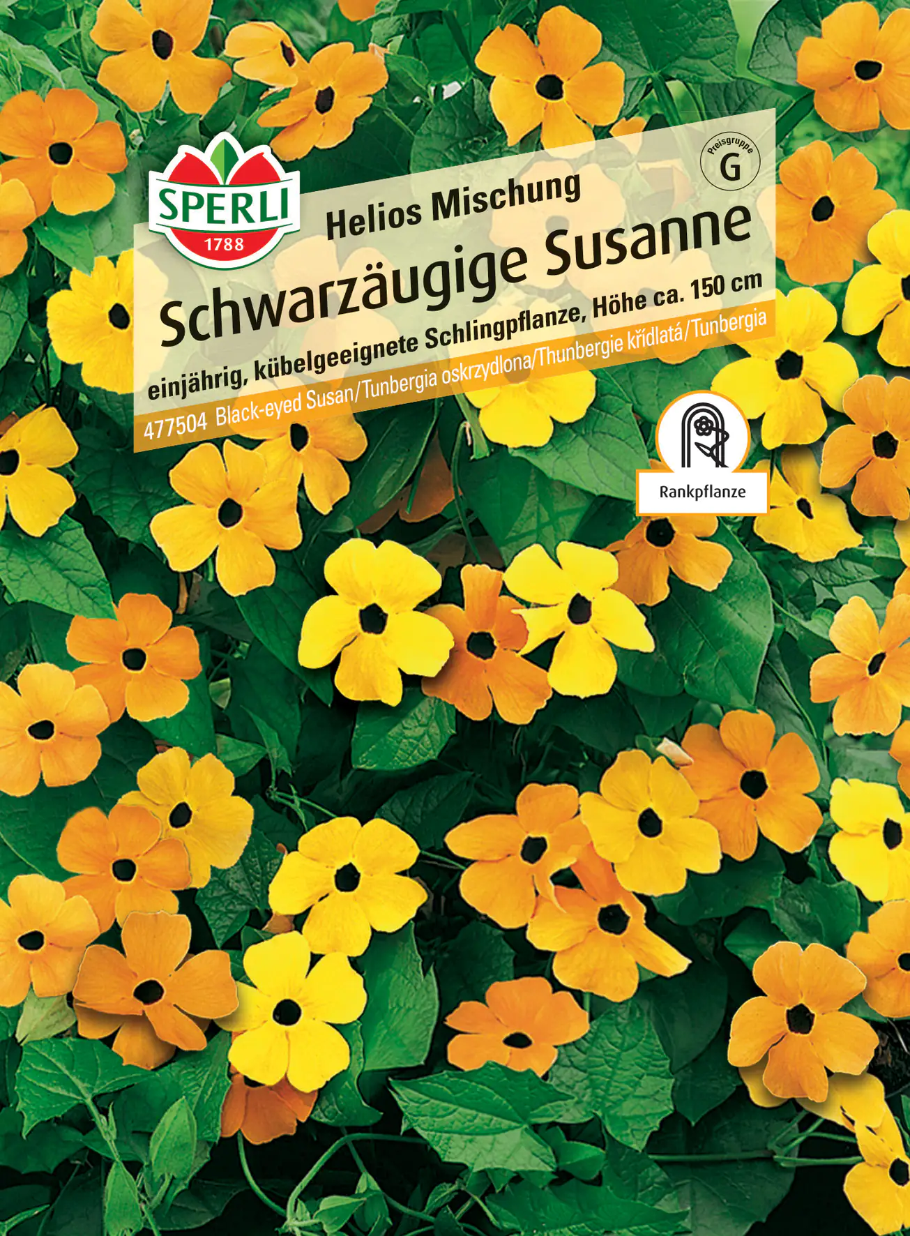 Sperli Schwarzäugige Susanne Helios Mischung