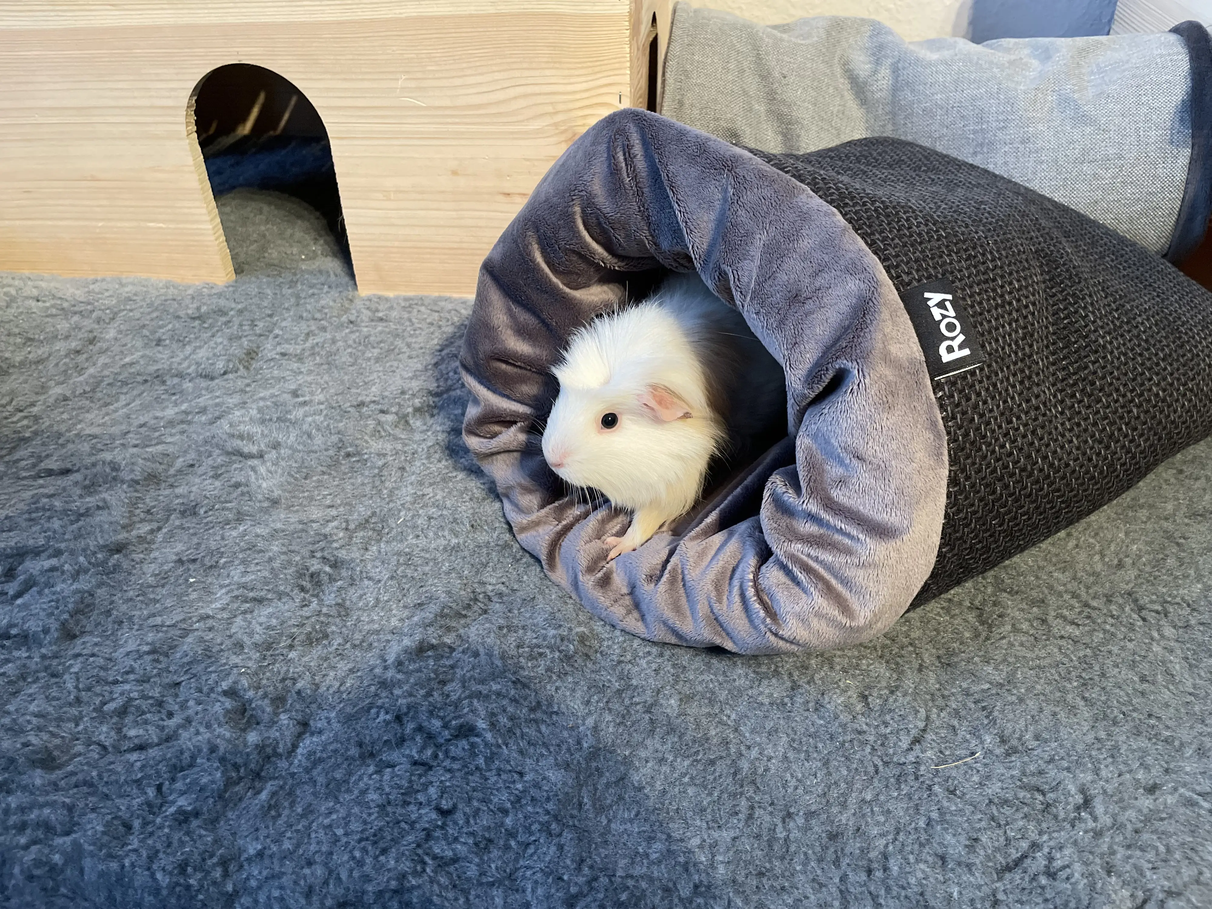 Ollesch Nager Schlafsack Charle 45 x 25 cm grau