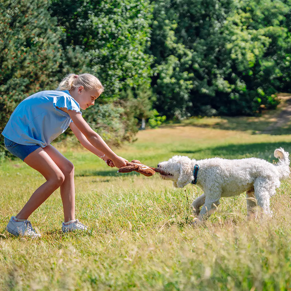 Nobby Hundespielzeug Plüschfaultier mit Seil innenliegend 34 cm
