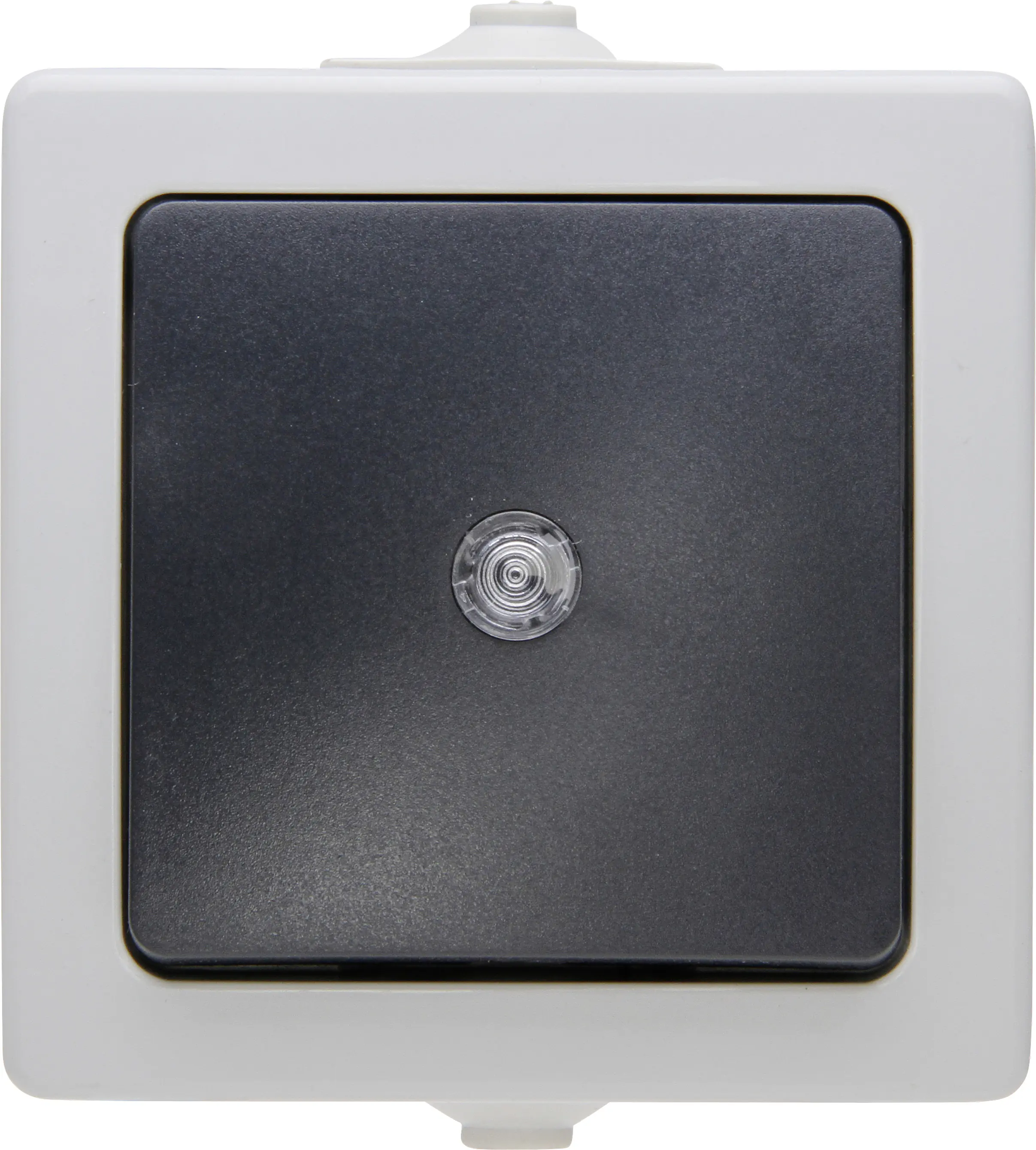 Kopp Feuchtraum-Taster mit Linse Nautic, grau, 566356003