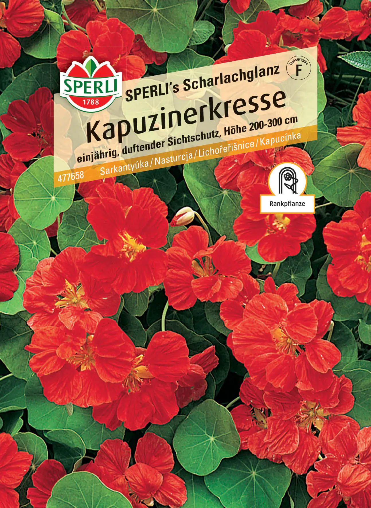 Sperli Kapuzinerkresse SPERLI's Scharlachglanz