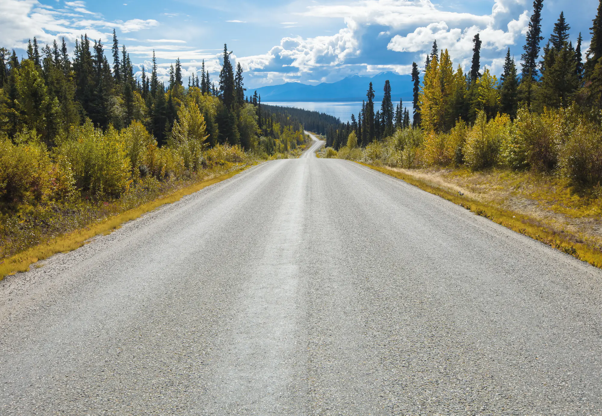 Komar Fototapete Atlin Road 368 x 254 cm 