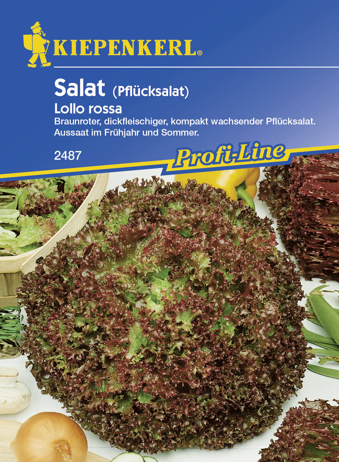 Kiepenkerl Pflücksalat Lollo rossa ca. 90 Pflanzen