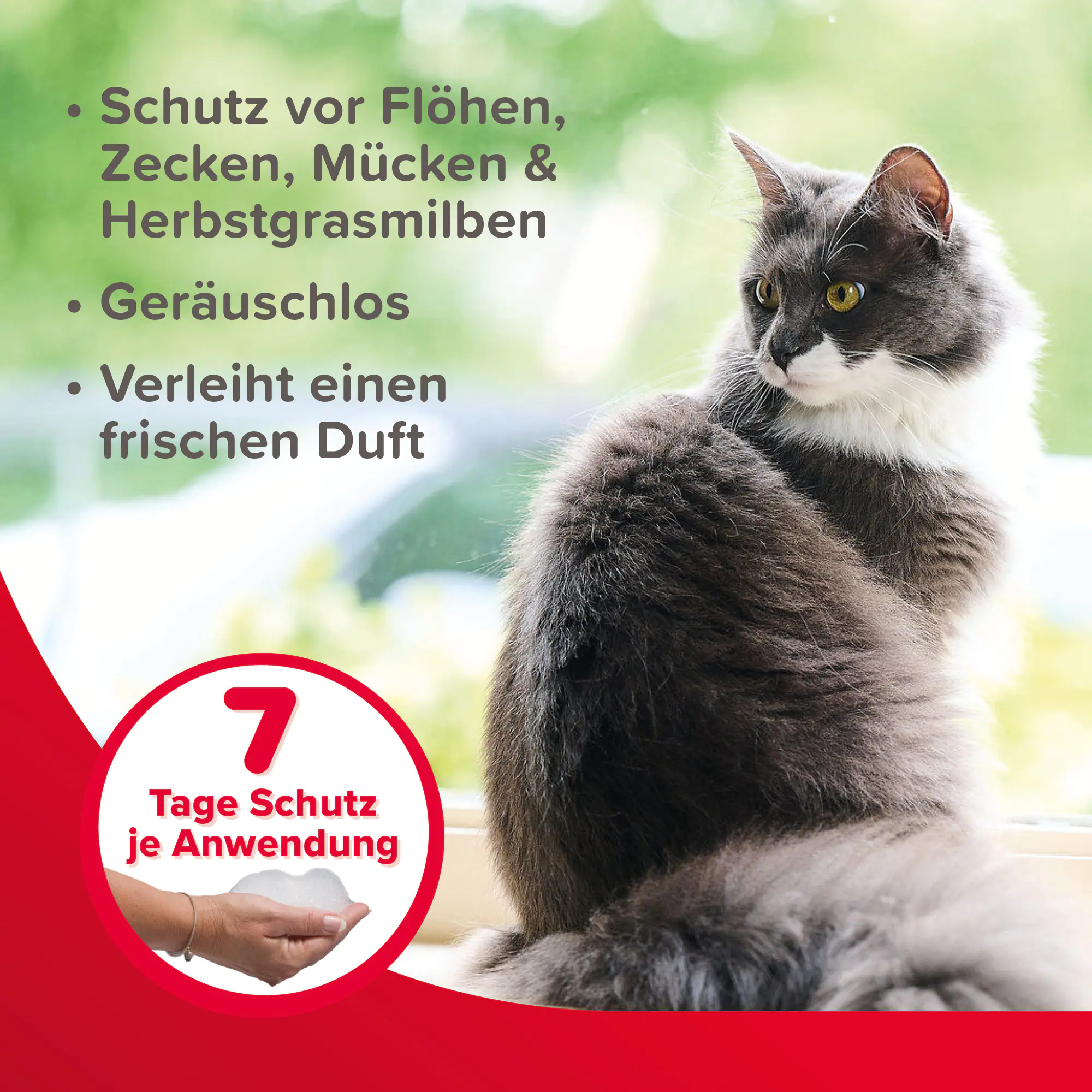 Beaphar Shampoo Parasiten VETOplus für Hunde und Katzen 200 ml