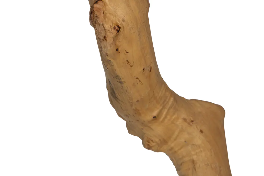 Designed by Lotte Kratzbaum Ziza H 100 cm 