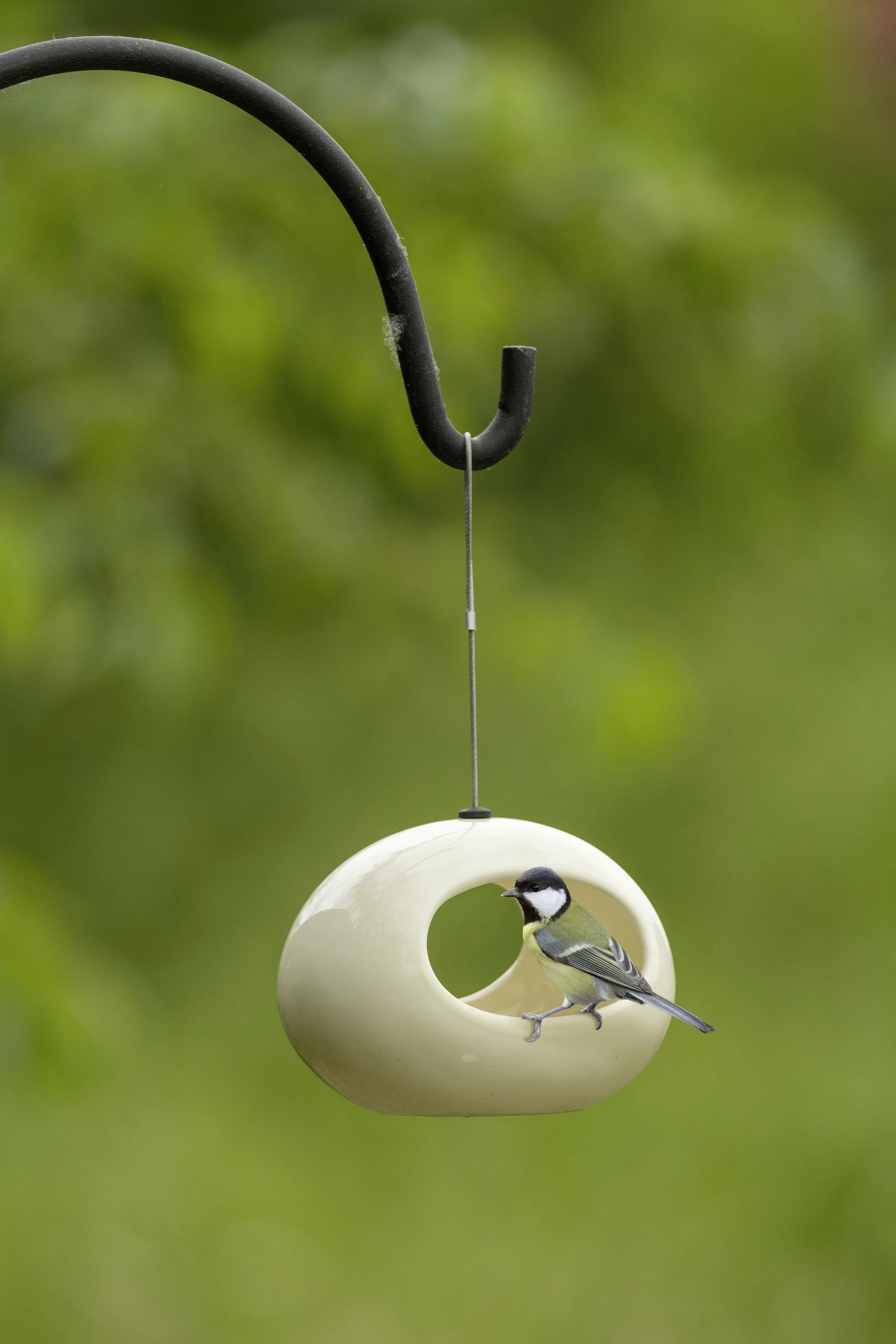 5051054221700_1522918 Wildlife Hängende Wasserschale Selo creme Keramik, mit Aufhängekette
