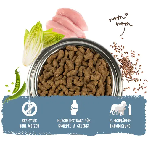Bosch Trockenfutter für große Hunde Maxi Junior 1 kg Bosch Trockenfutter für große Hunde Maxi Junior 1 kg