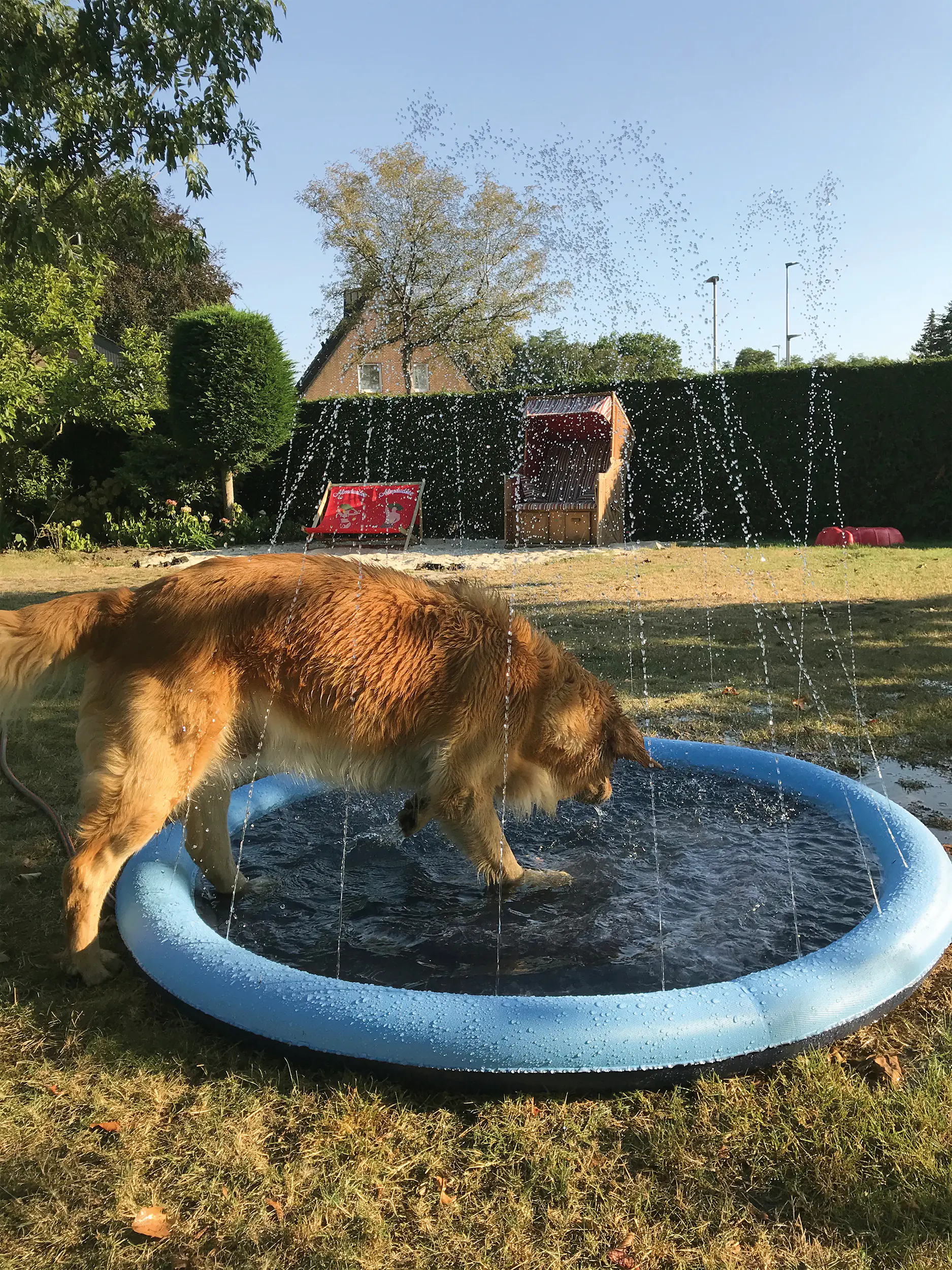 Nobby Hundepool Splash Pool