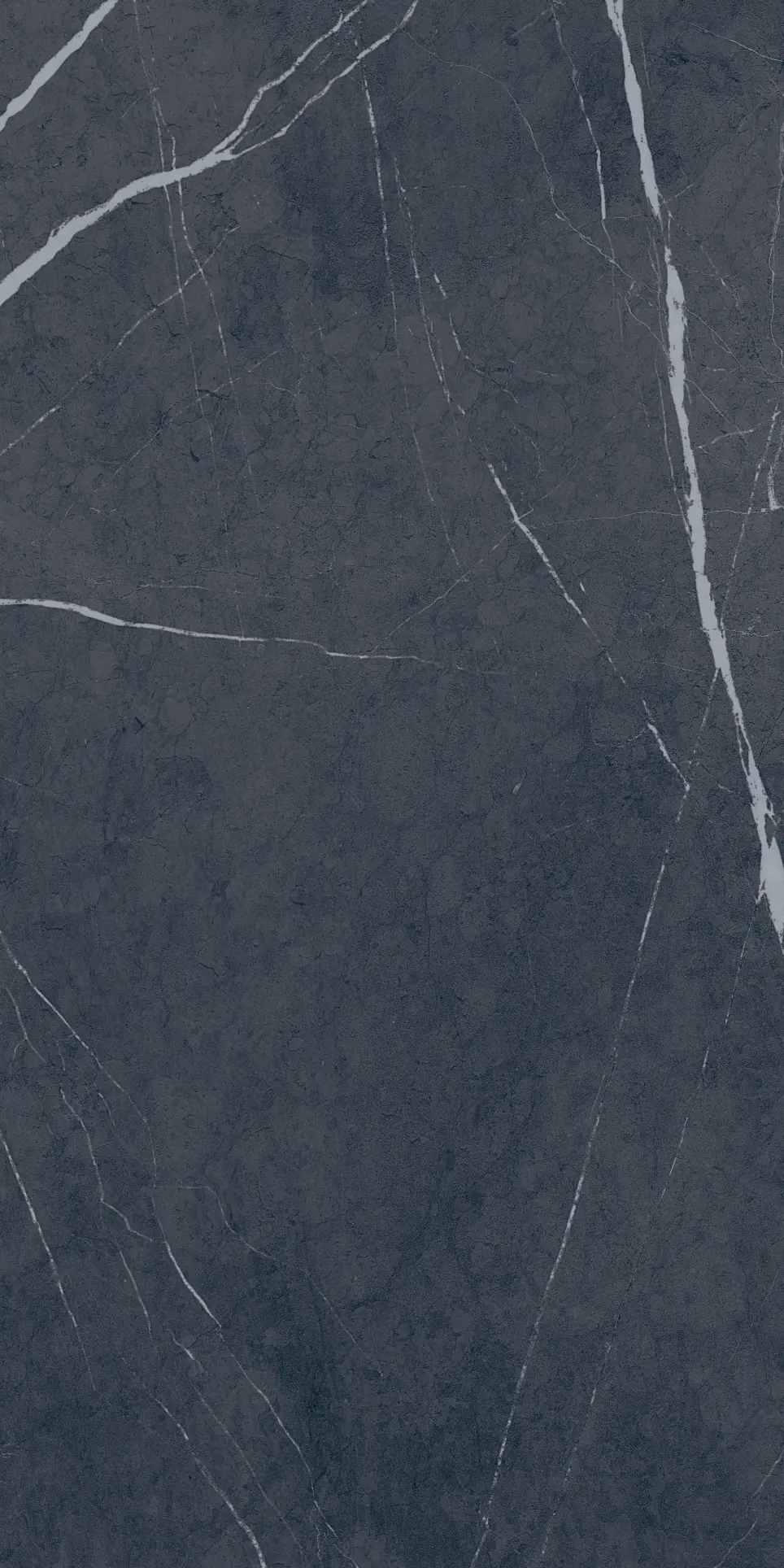 Bodenfliese Feinsteinzeug Premium Marble 30 x 60 cm anthrazit