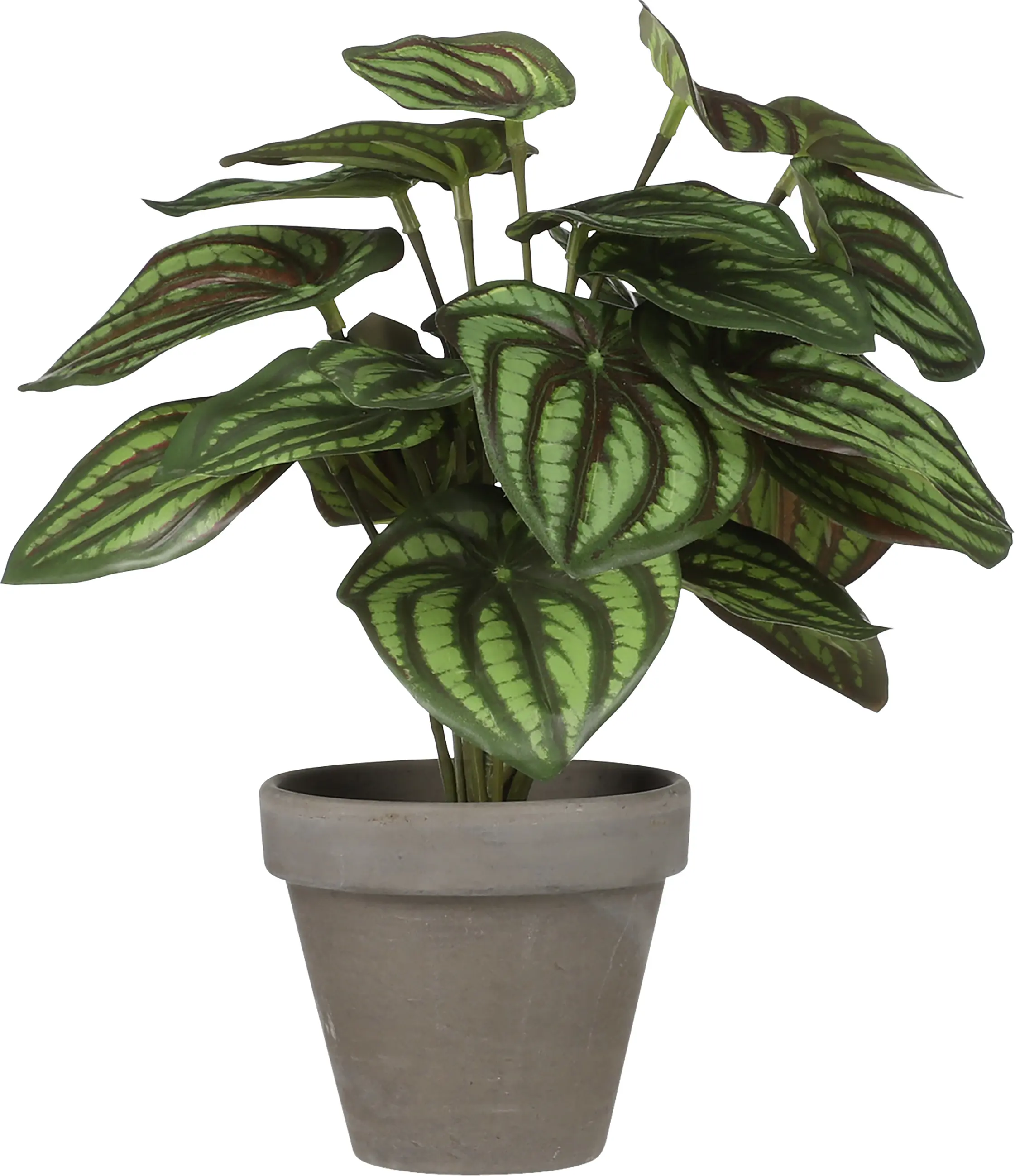 Mica Kunstpflanze Peperomia grün im Topf Ø 23 x 24 cm