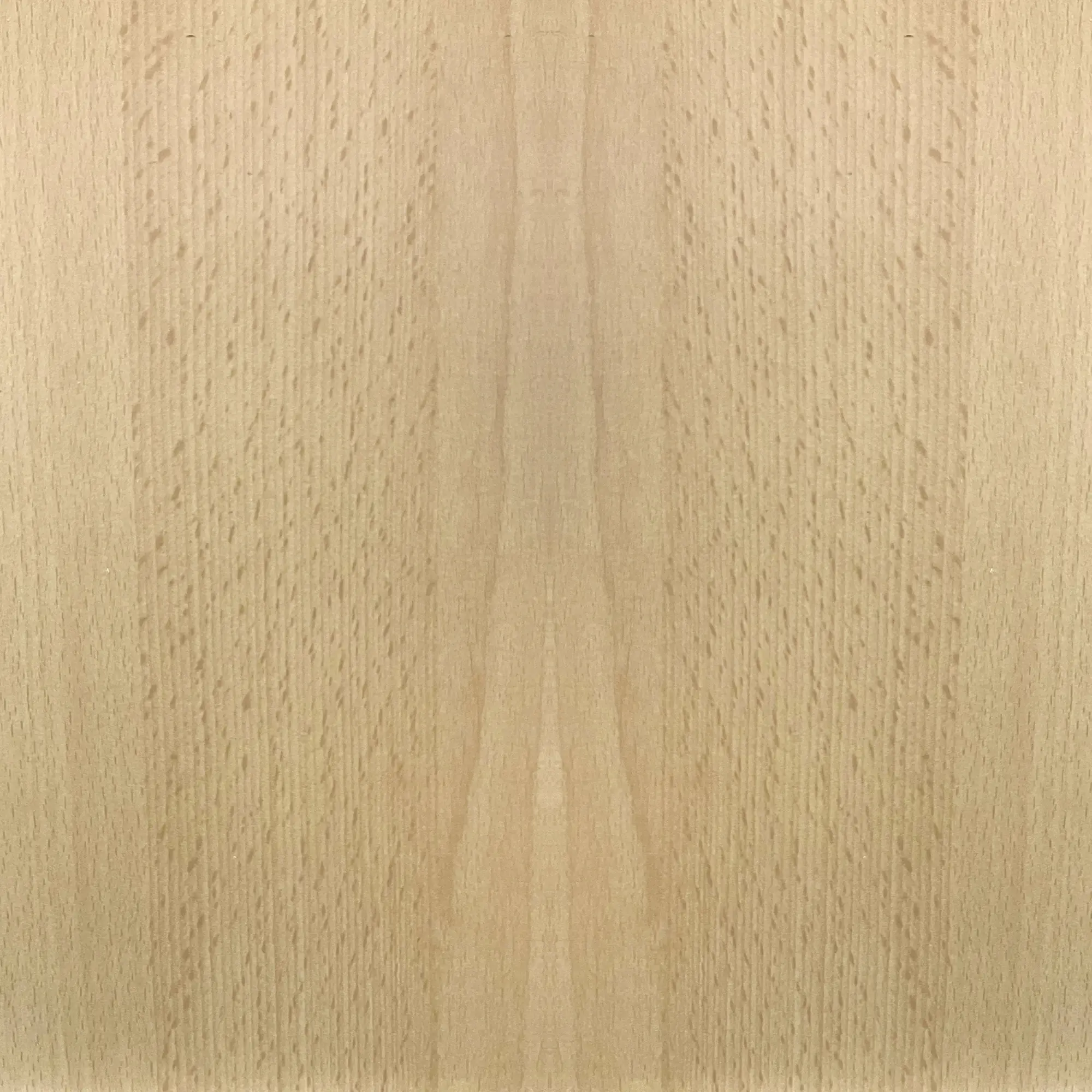 FN Neuhofer Fußleiste 240 cm 29 x 5 mm Buche natur