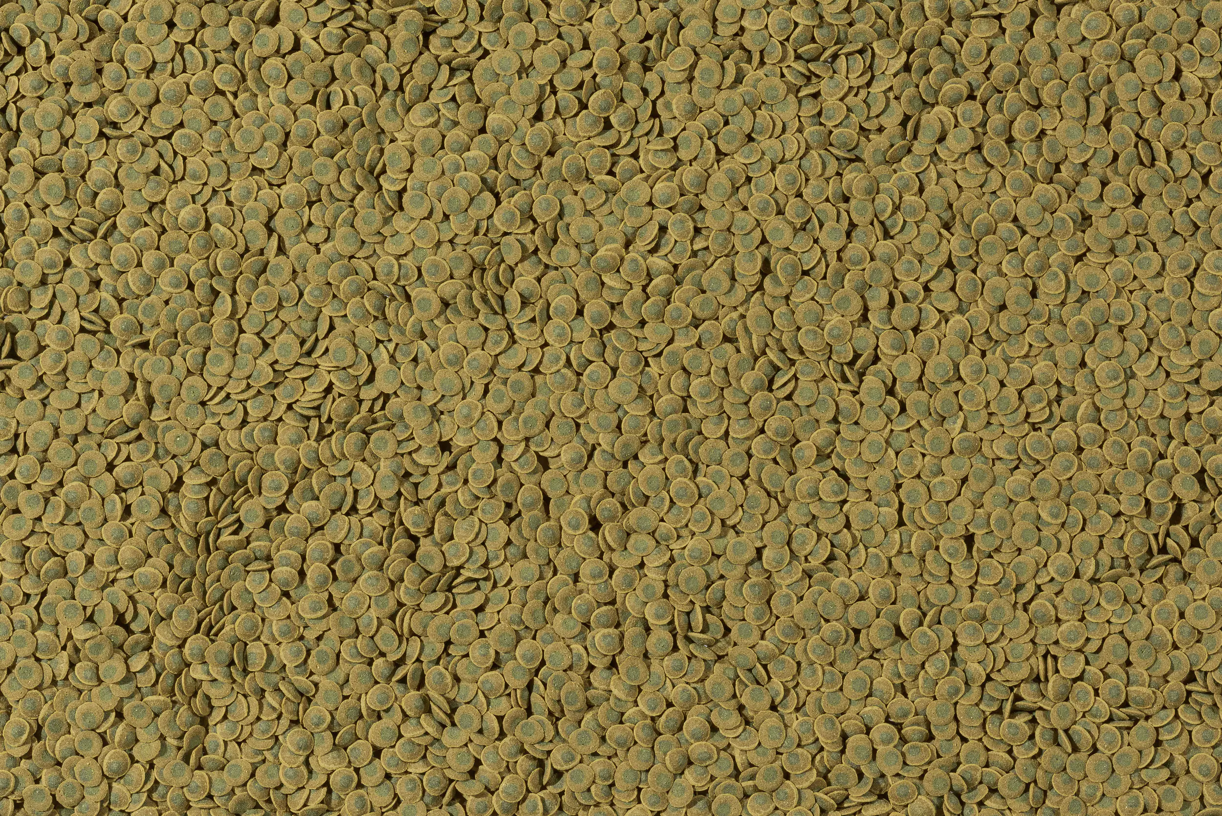 Tetra Pleco Veggie Wafers 100 ml Tetra Pleco Veggie Wafers 100 ml