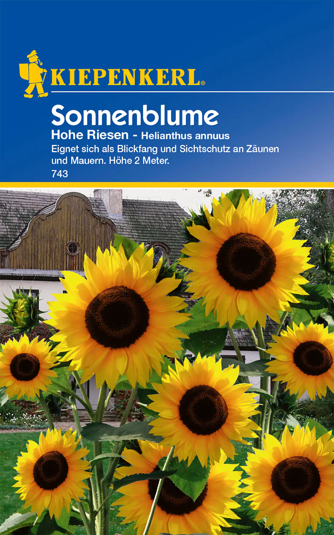 Kiepenkerl Sonnenblume Hohe Riesen