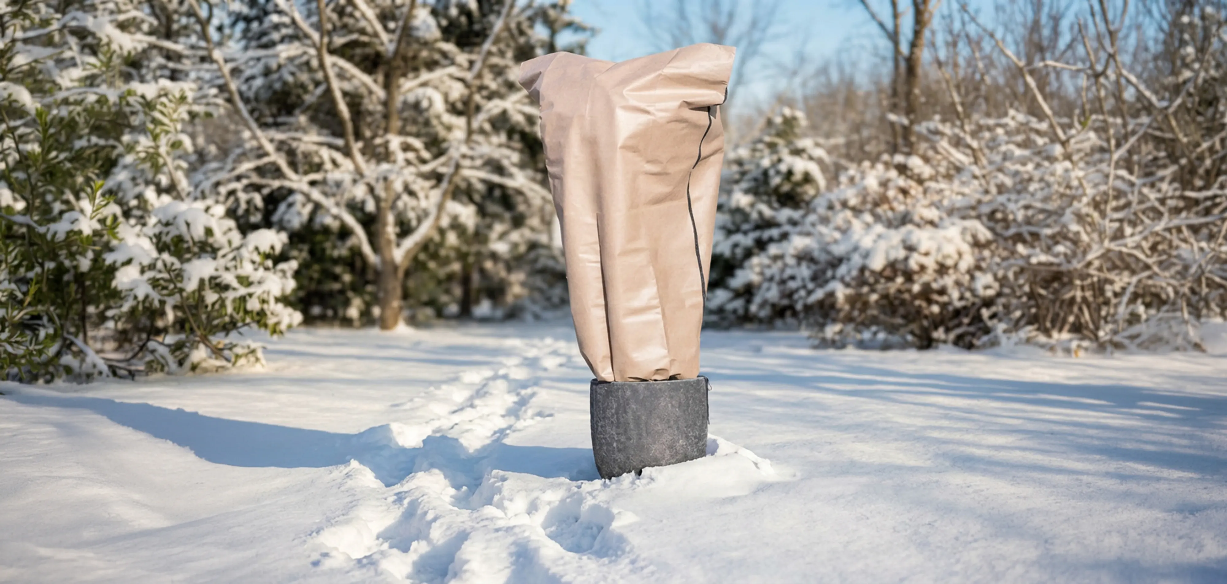 Windhager Winterschutz für Pflanzen Schutzhaube S-pro 300 x 350 cm beige