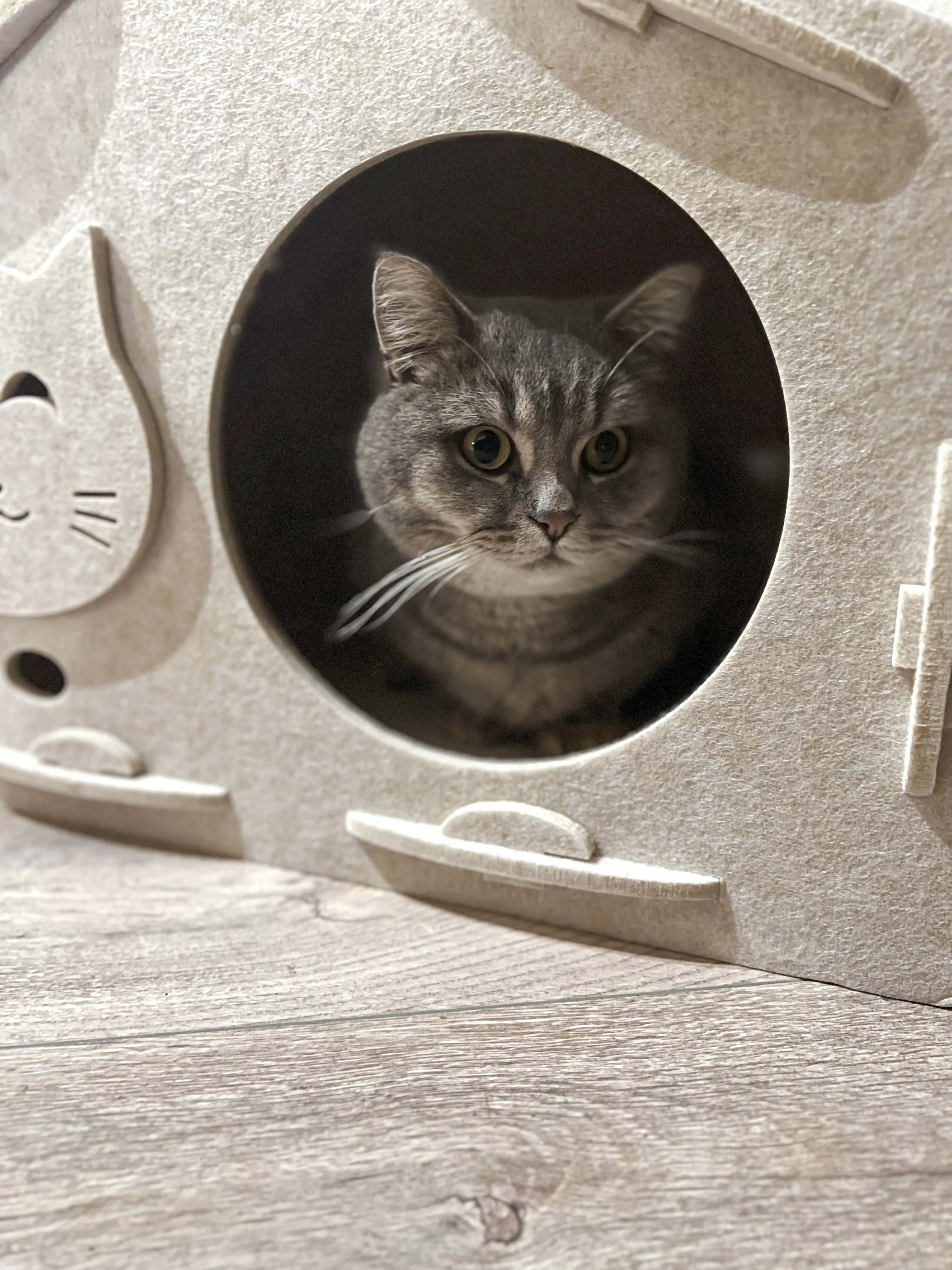 Aumüller Katzenhaus Feli 60 x 40 cm beige