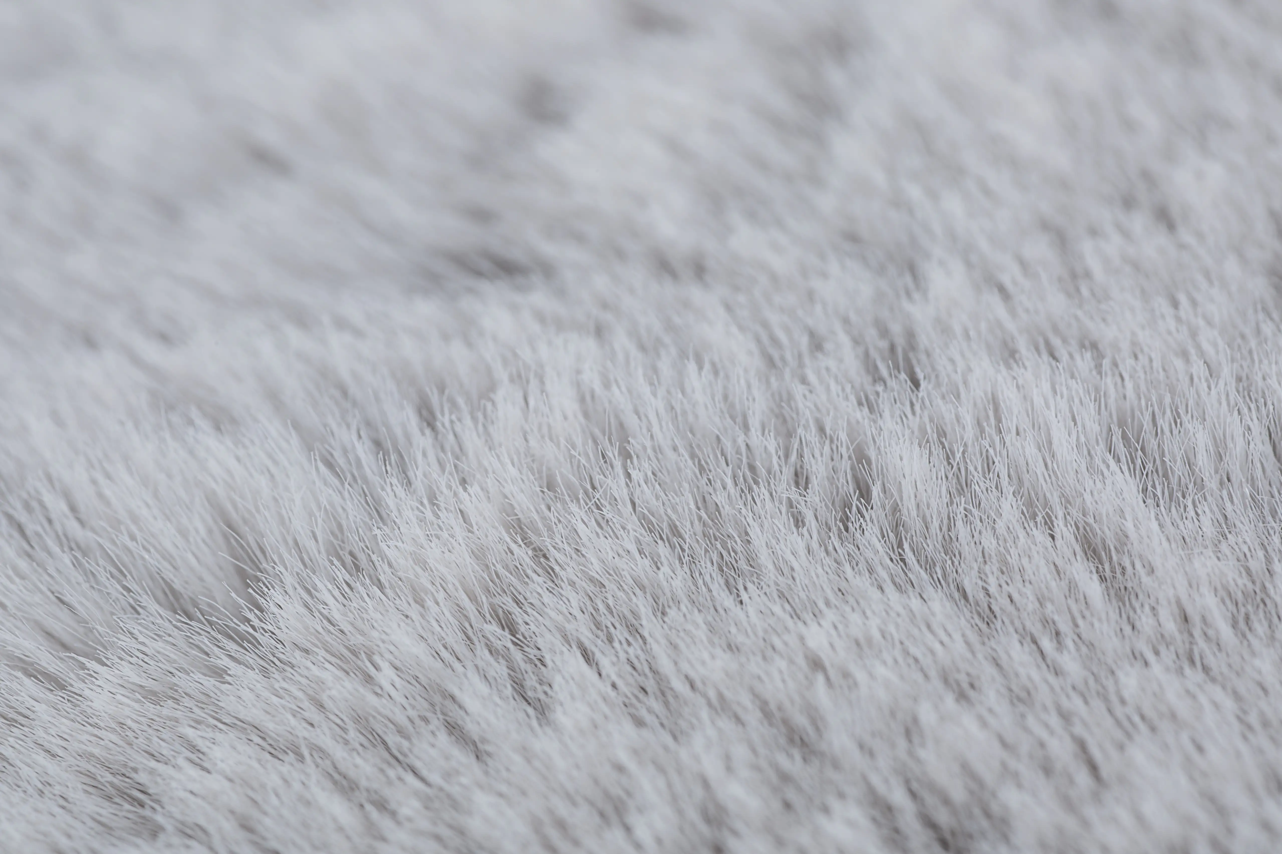 Andiamo Teppich Novara grau, 60 x 120 cm