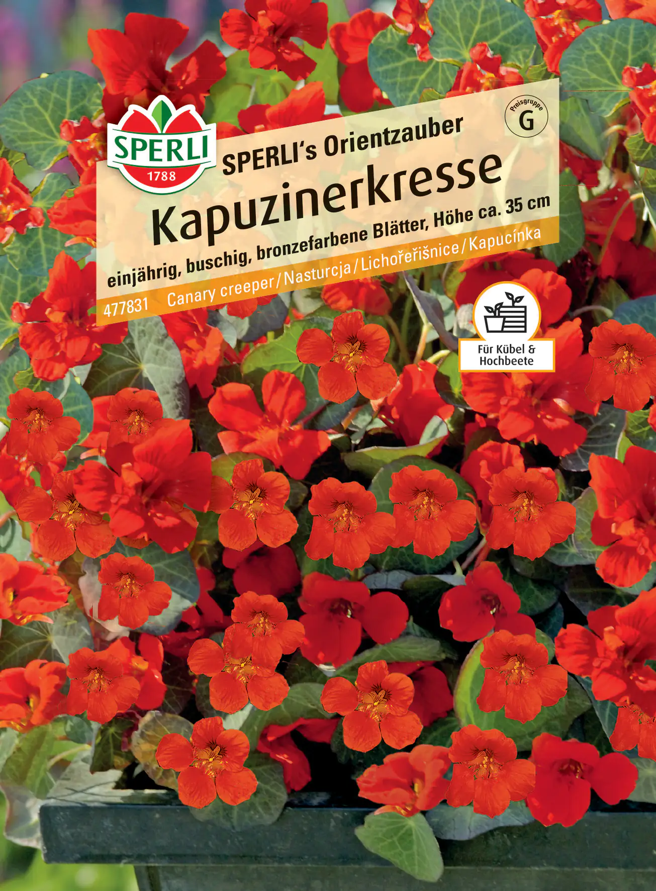 Sperli Kapuzinerkresse SPERLI's Orientzauber