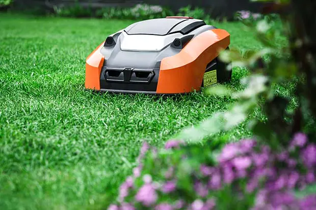 Mähroboter tierfreundlich nutzen