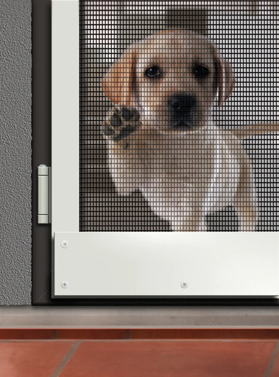 Schellenberg Fliegengitter MAX PROTECT 120 x 150 cm anthrazit kürzbar