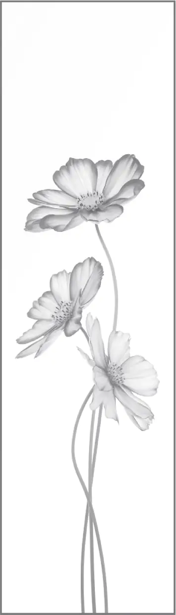 Ambiente Glaszaun Dekor 93 51,5 x 180 cm gehärtetes 8 mm Glas