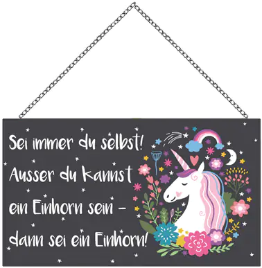 4251050543122 Schild mit Spruch Einhorn, 23 x 13 cm mit Kette