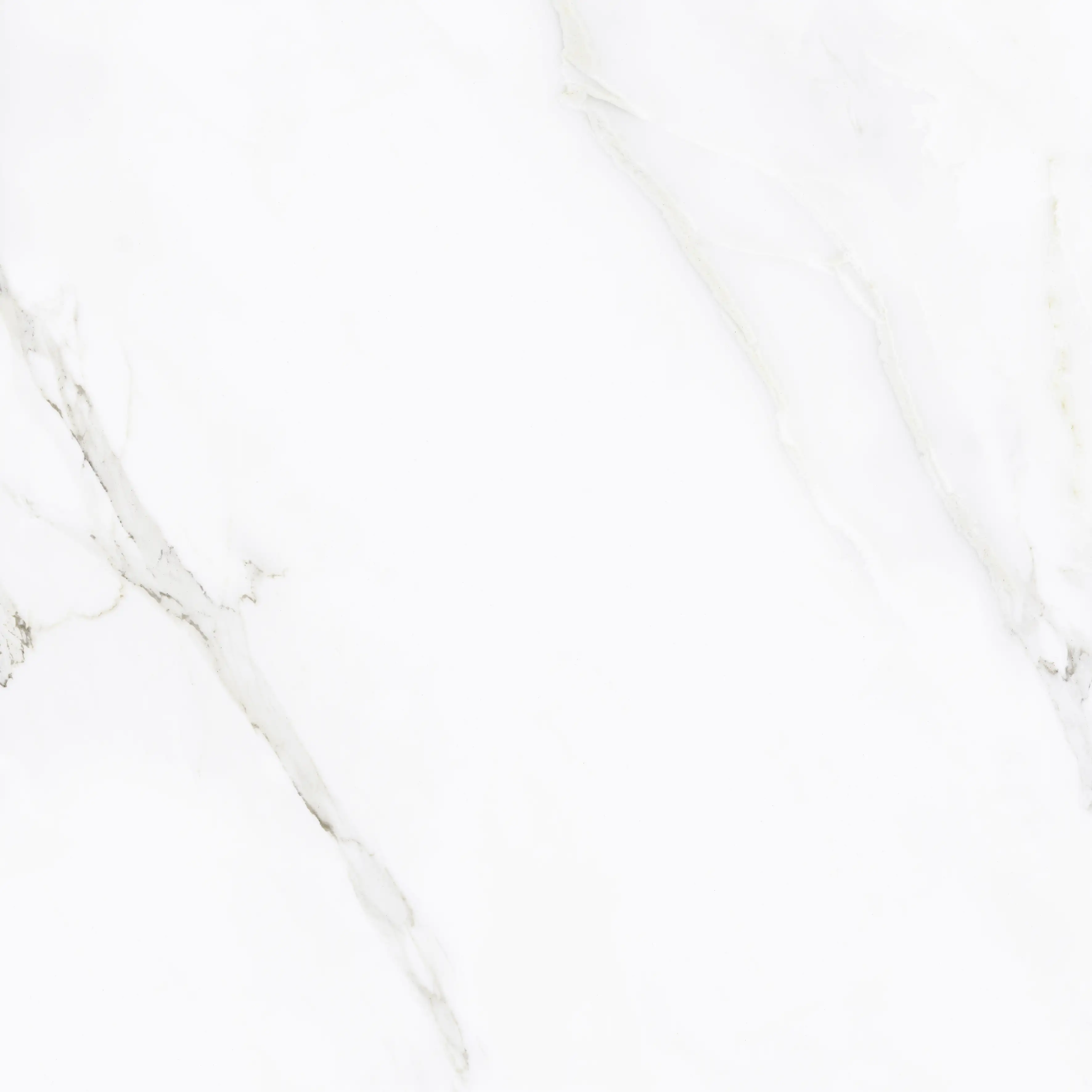 Bodenfliese Feinsteinzeug Calacatta 60 x 60 cm weiß Bodenfliese Feinsteinzeug Calacatta 60 x 60 cm weiß