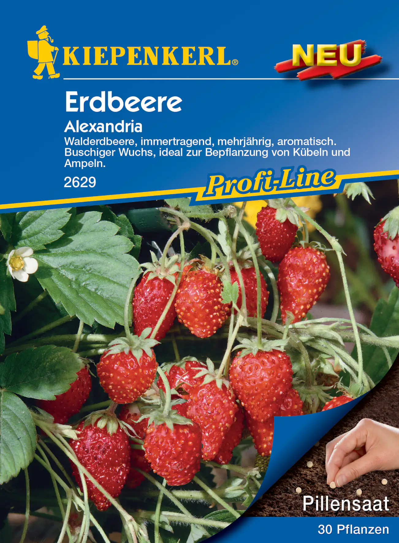 Kiepenkerl Walderdbeere Alexandria Pillensaat Kiepenkerl Walderdbeere Alexandria Pillensaat