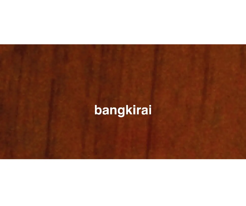 Primaster Gartenholzöl 2,5 L bangkirai