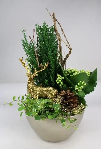 Arrangement Indoor Nr. 10 Keramikschale mit Rentier 18 cm 