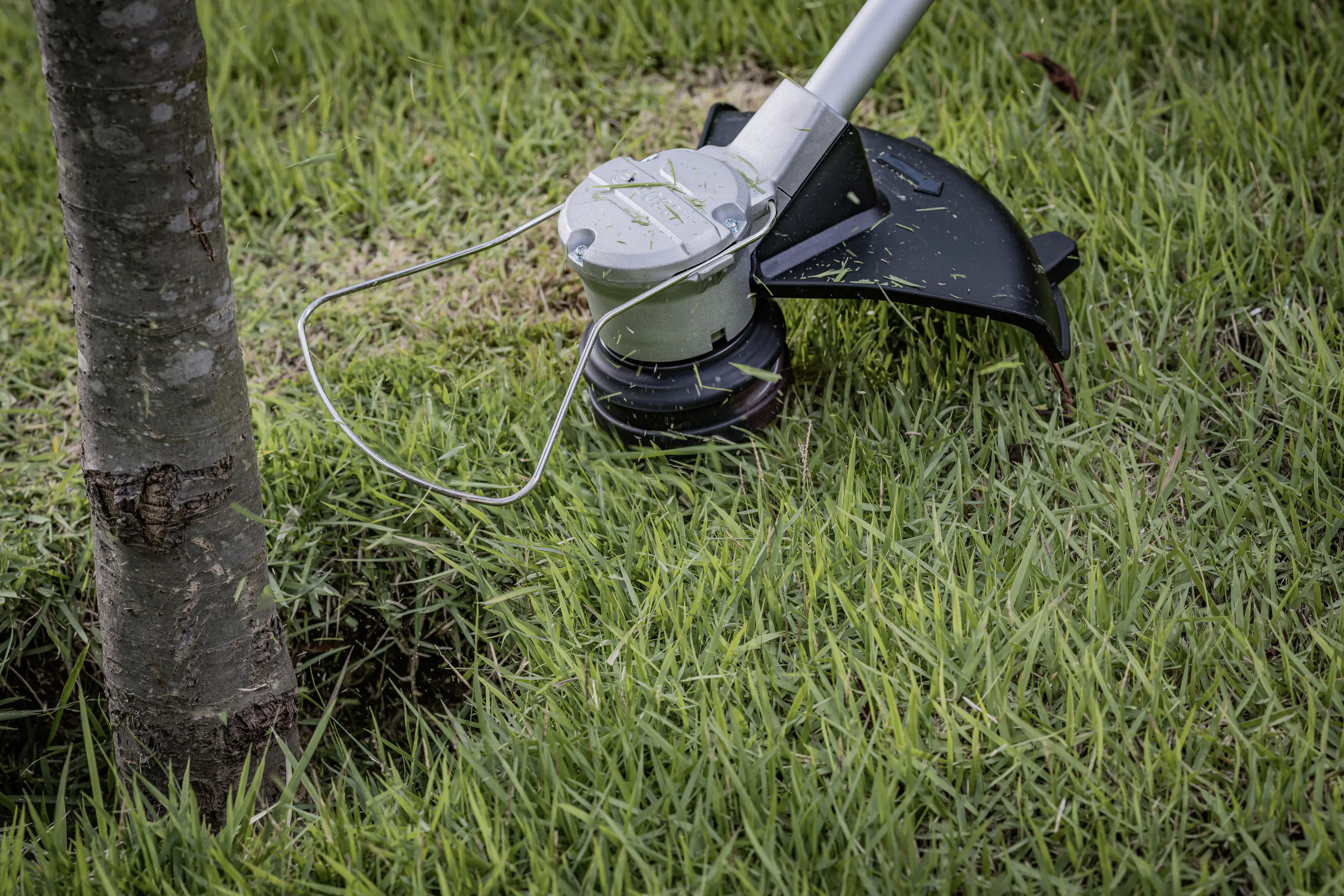 Bosch Professional Akku-Freischneider GFR 18V-23 Solo Bosch Professional Akku-Freischneider GFR 18V-23 Solo