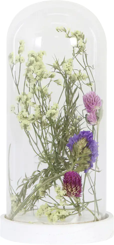 Dijk Kuppel mit Blumen 10 x 10 x 22.5 cm