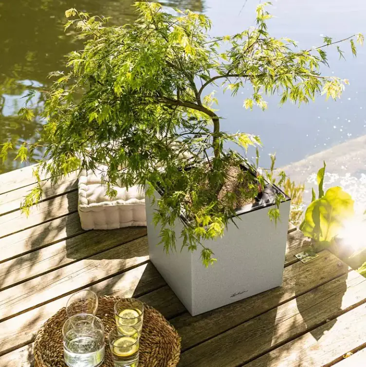 Lechuza Pflanzgefäß Canto Stone 30 low LED graphitschwarz