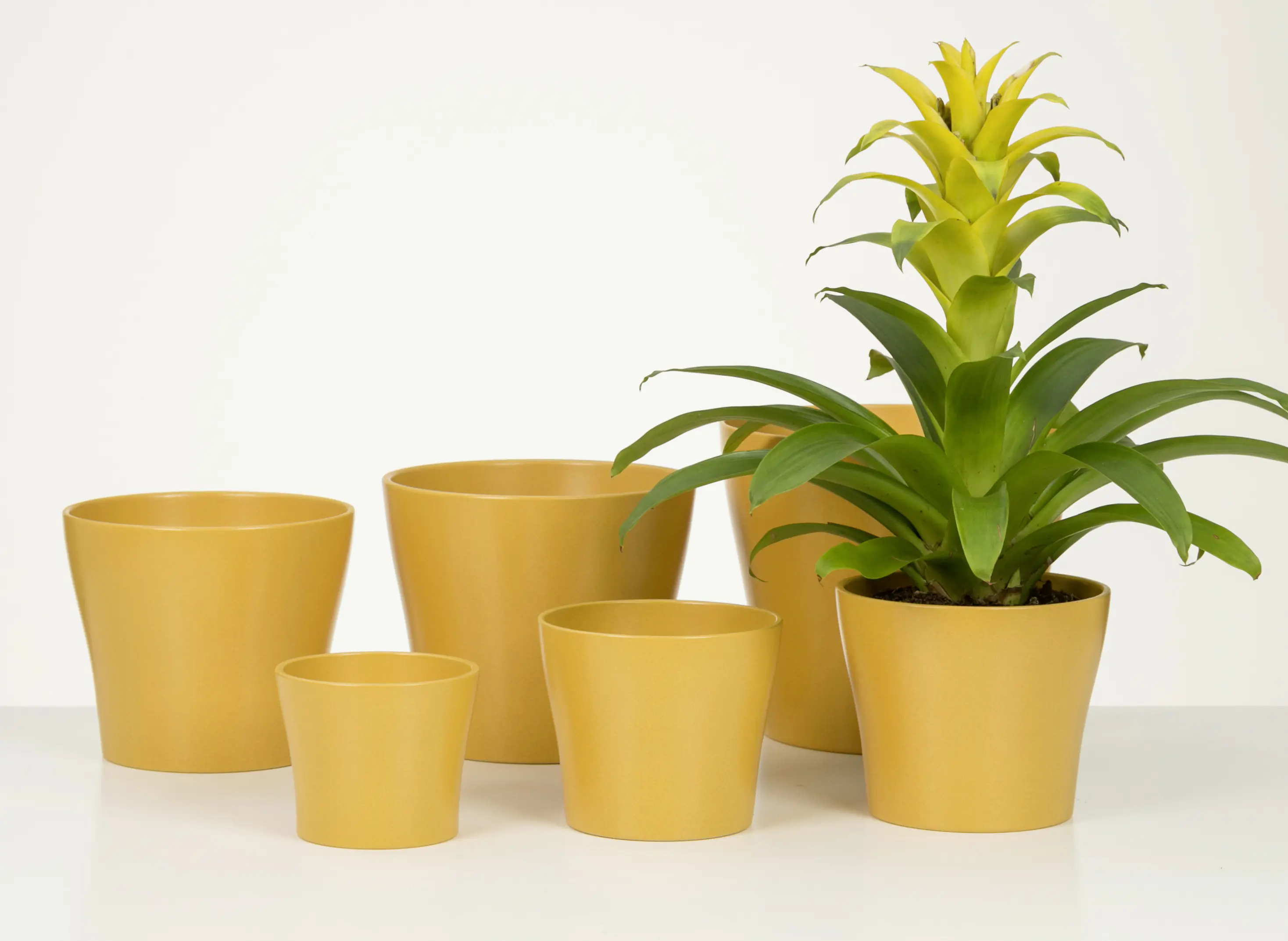 Scheurich Übertopf Serie 808 Ø 19 x 16 cm curcuma