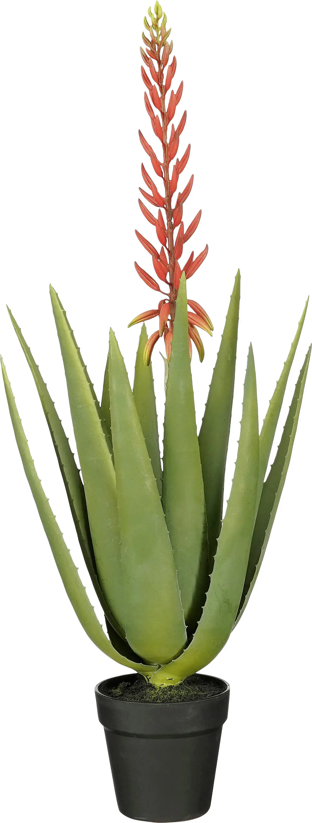 Mica Decorations Kunstpflanze Aloe vera im Topf grün rot Ø 43 x 82 cm