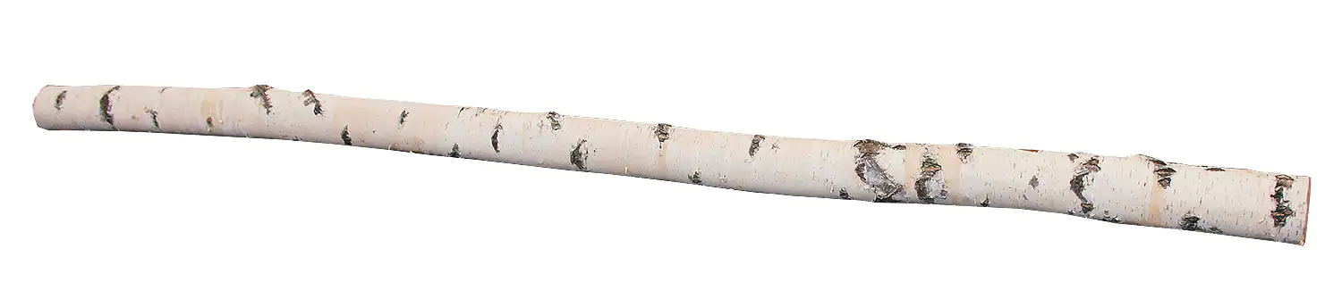4260546685086 Birkenholzstamm 100% Natur 250 cm