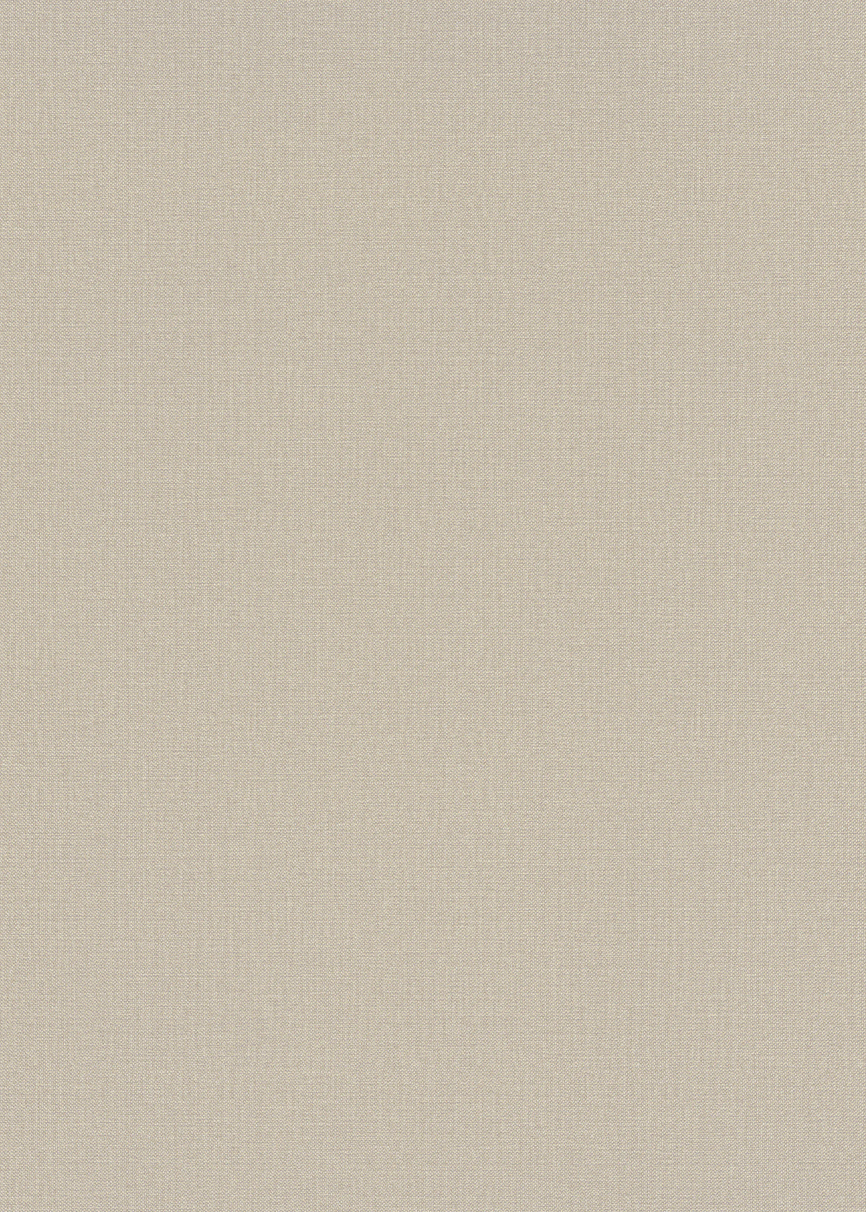 Erismann Vliestapete Uni beige 10,05 x 0,53 m Erismann Vliestapete Uni beige 10,05 x 0,53 m
