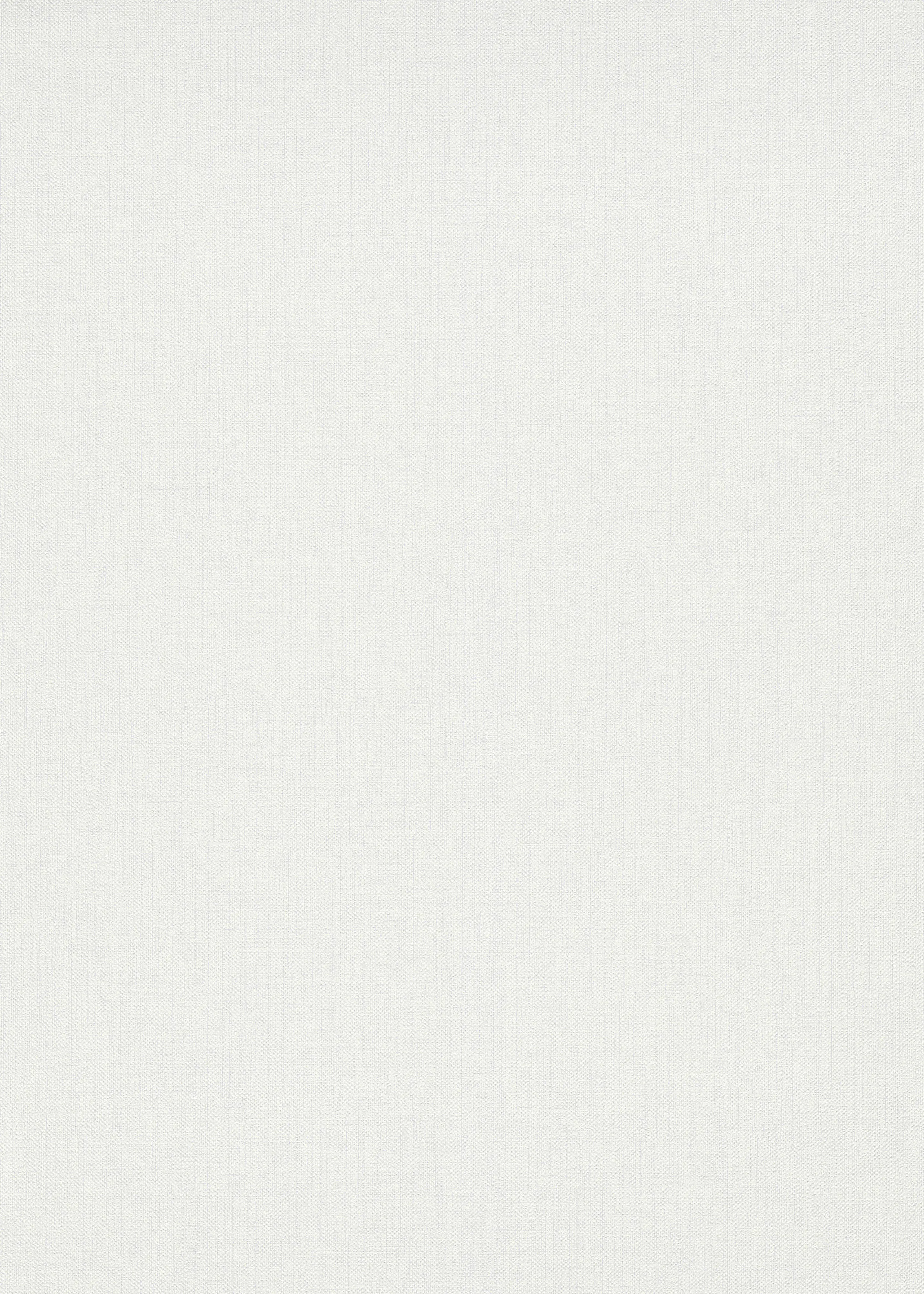 Erismann Vliestapete Uni 4Earth hellgrau 10,05 x 0,53 m