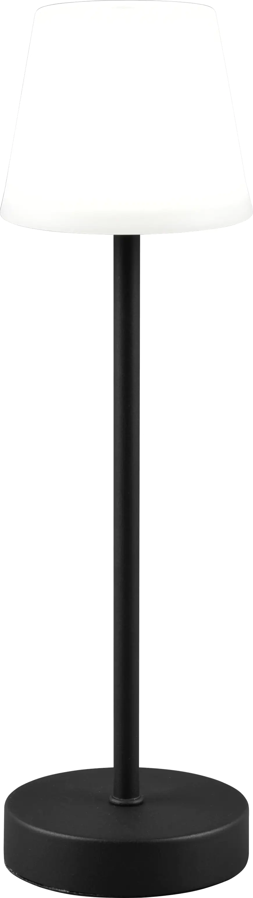 Reality Leuchten LED Akku-Tischleuchte Martinez schwarz 39 cm TW Reality Leuchten LED Akku-Tischleuchte Martinez schwarz 39 cm TW