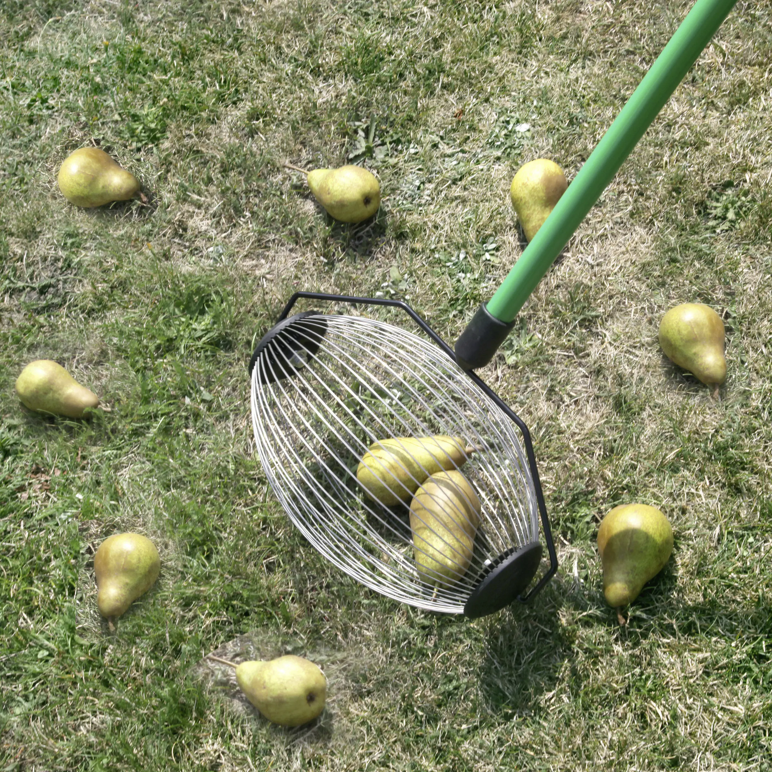 Obstpflücker Classic 100 x 30 cm inkl. Stiel