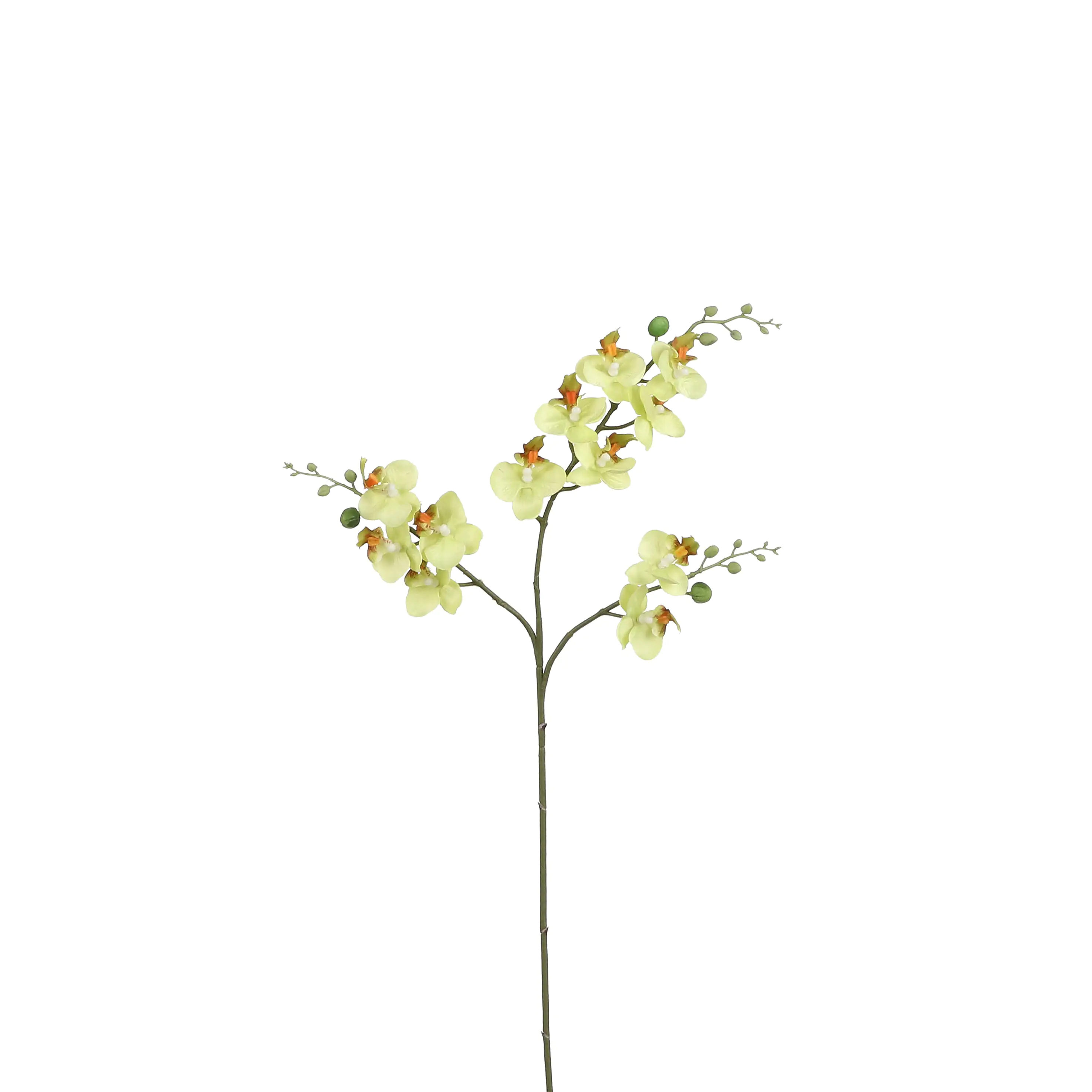 Mica künstliche Phalaenopsis grün, 75 cm