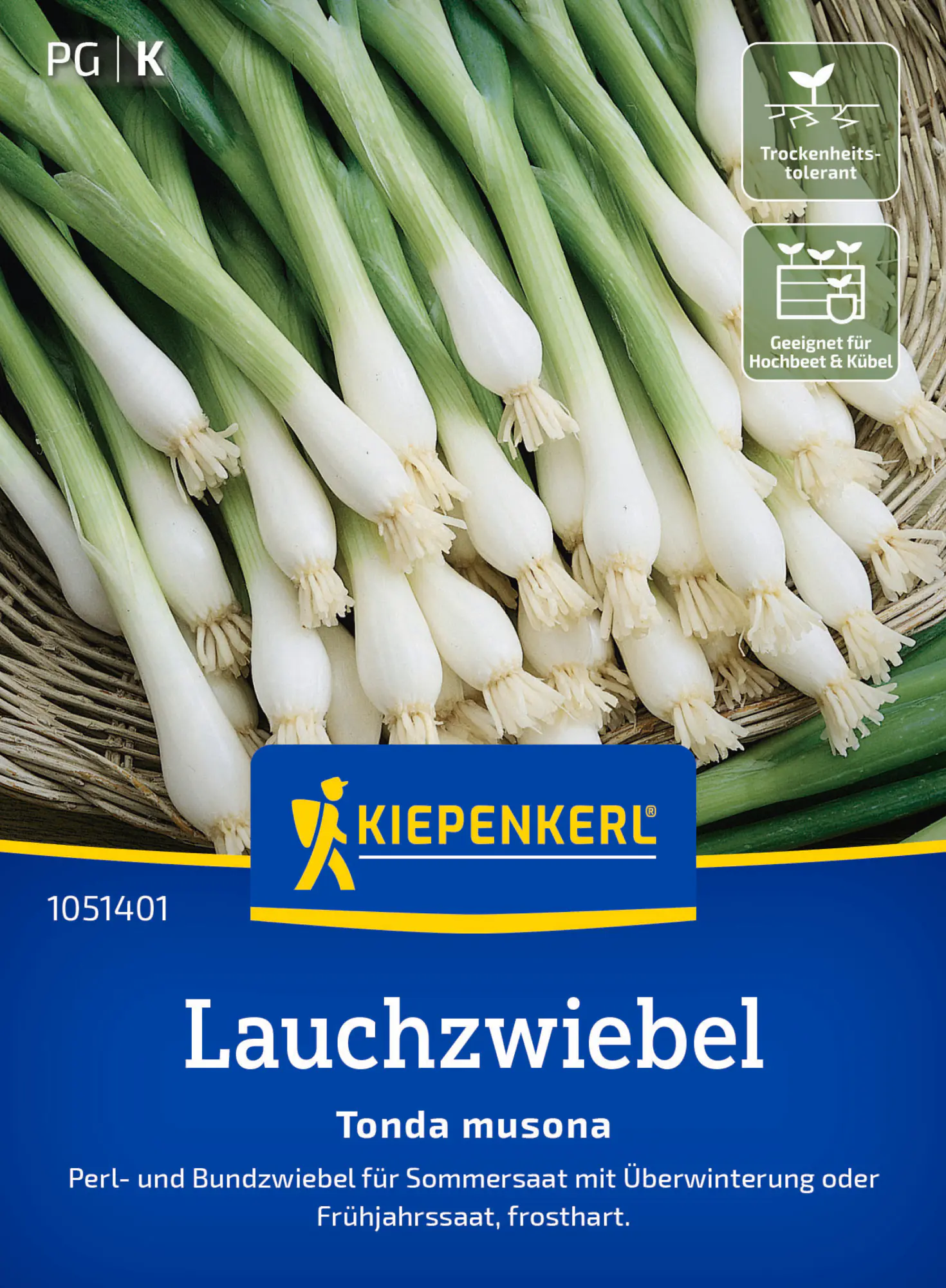 Kiepenkerl Saatgut Lauchzwiebel Tonda musona für ca. 1 – 1,5 m²