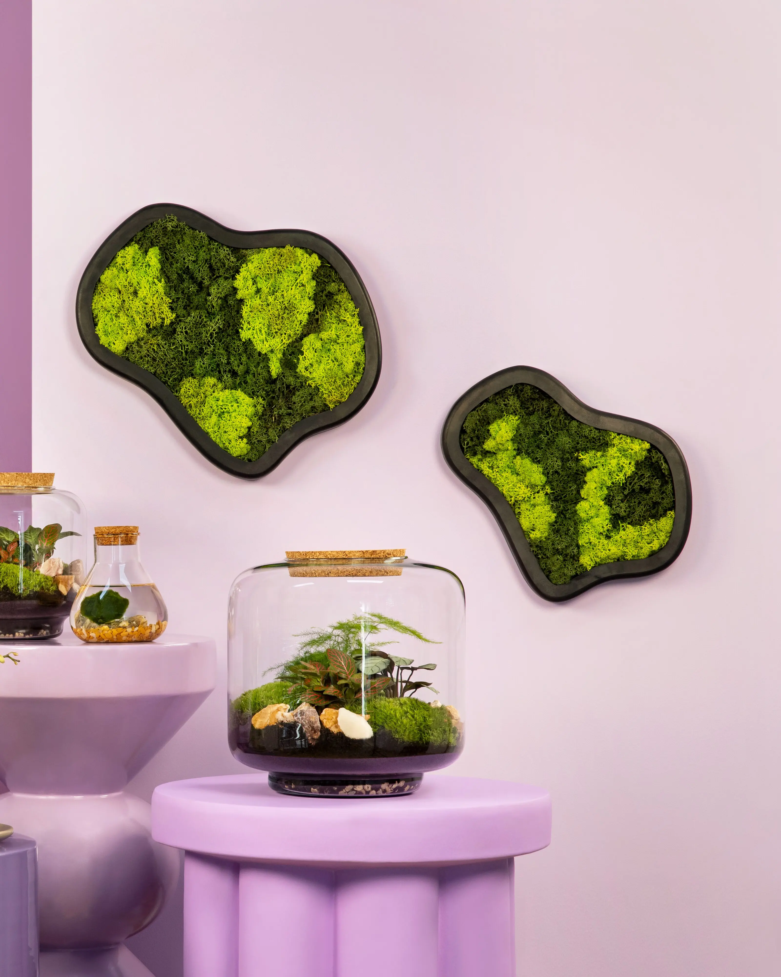 Moosbild freie Form Ø 36 cm mit echtem Moos