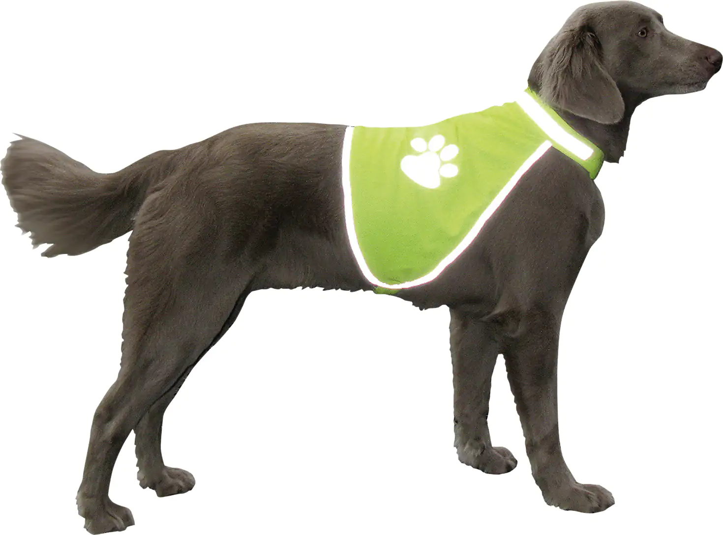 Nobby Sicherheitsweste für Hunde neon kaufen Globus Baumarkt