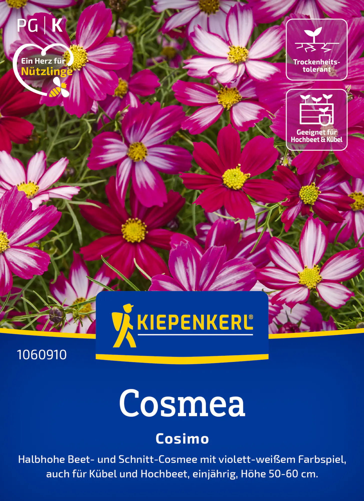 Kiepenkerl Blumensamen Cosmos Cosimo für ca. 30 Pflanzen