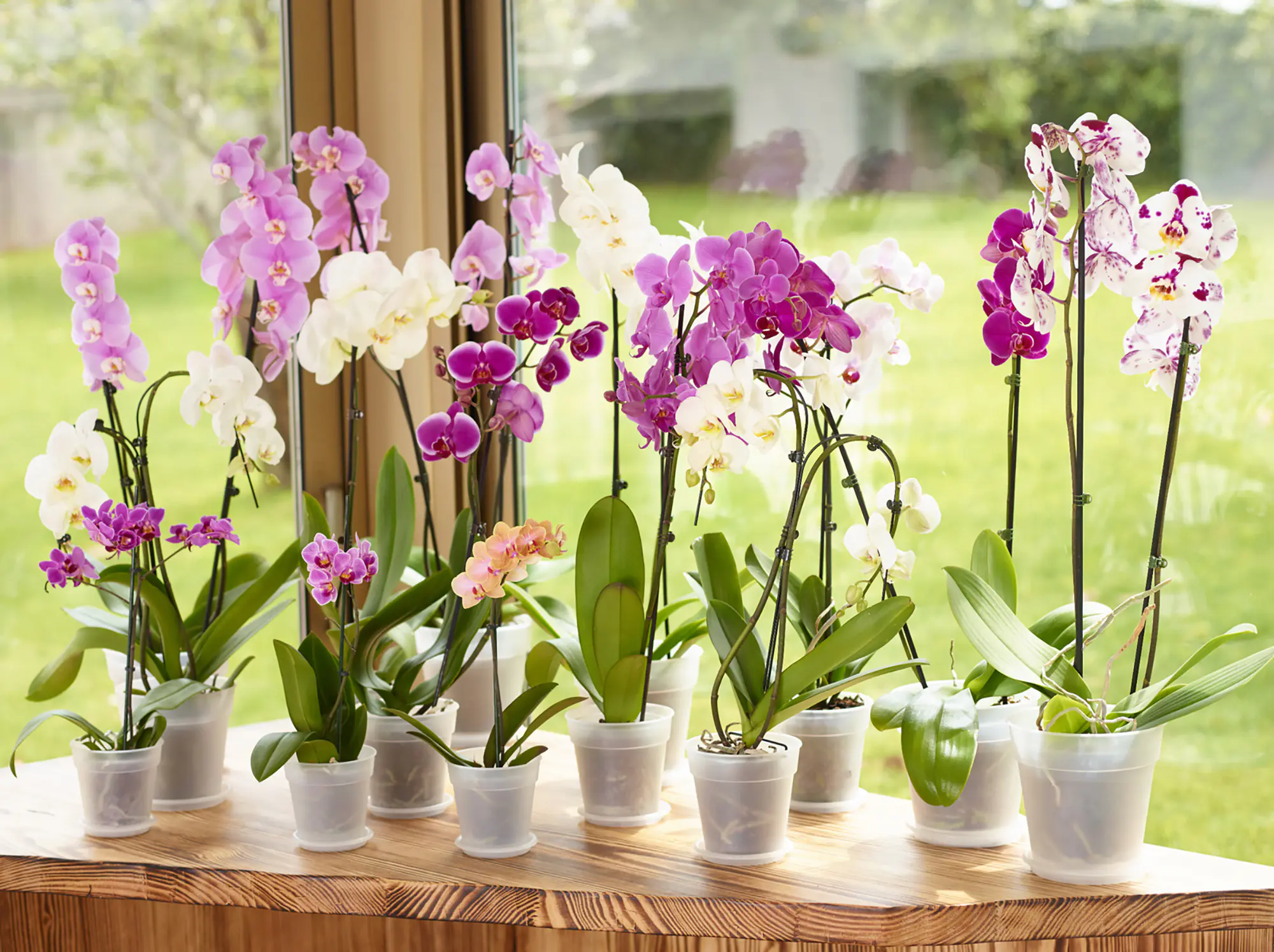 Artevasi Blumentopfuntersetzer Redondo Kunststoff rund trockengrün matt Ø 13 cm
