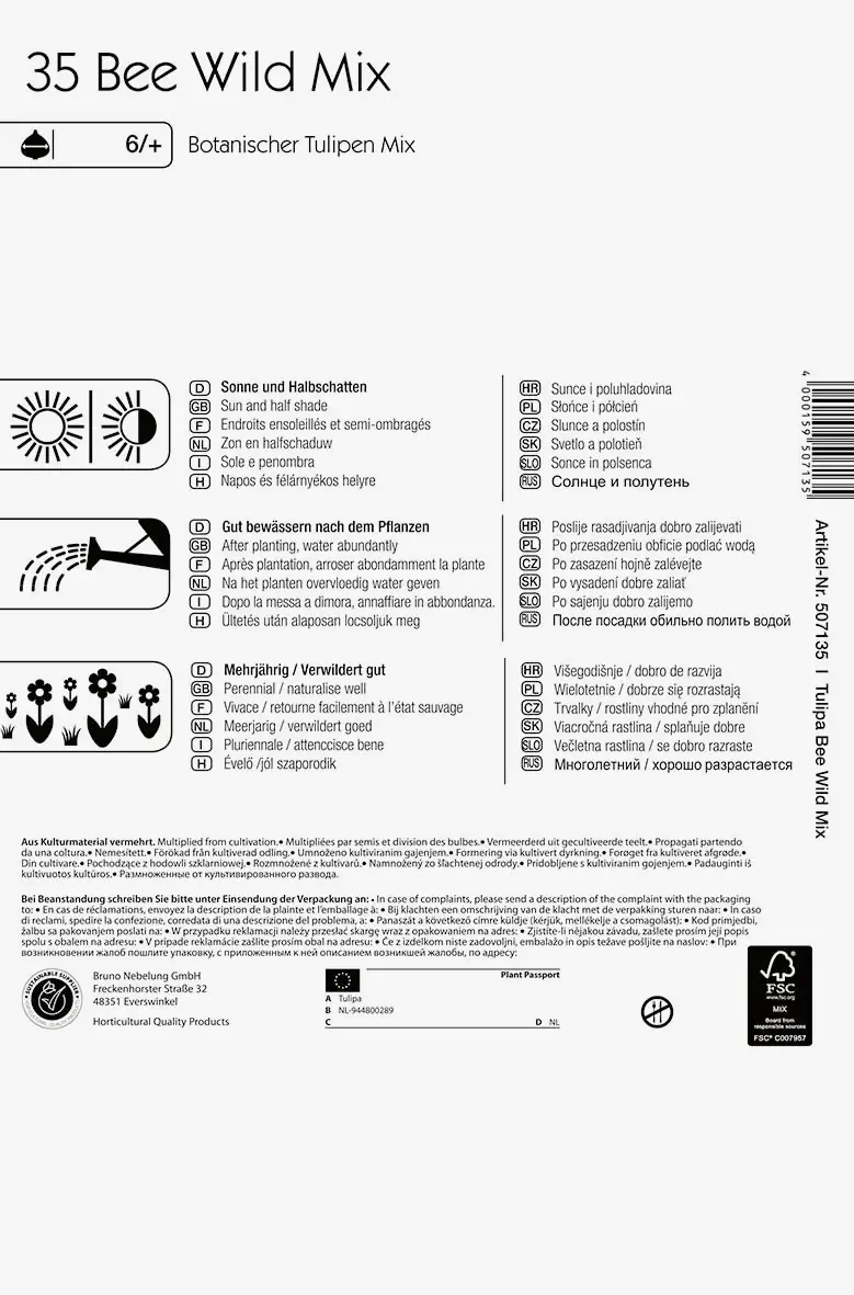 Kiepenkerl Colour Symphony Bee Wild Mix Tulipa x Hybrida