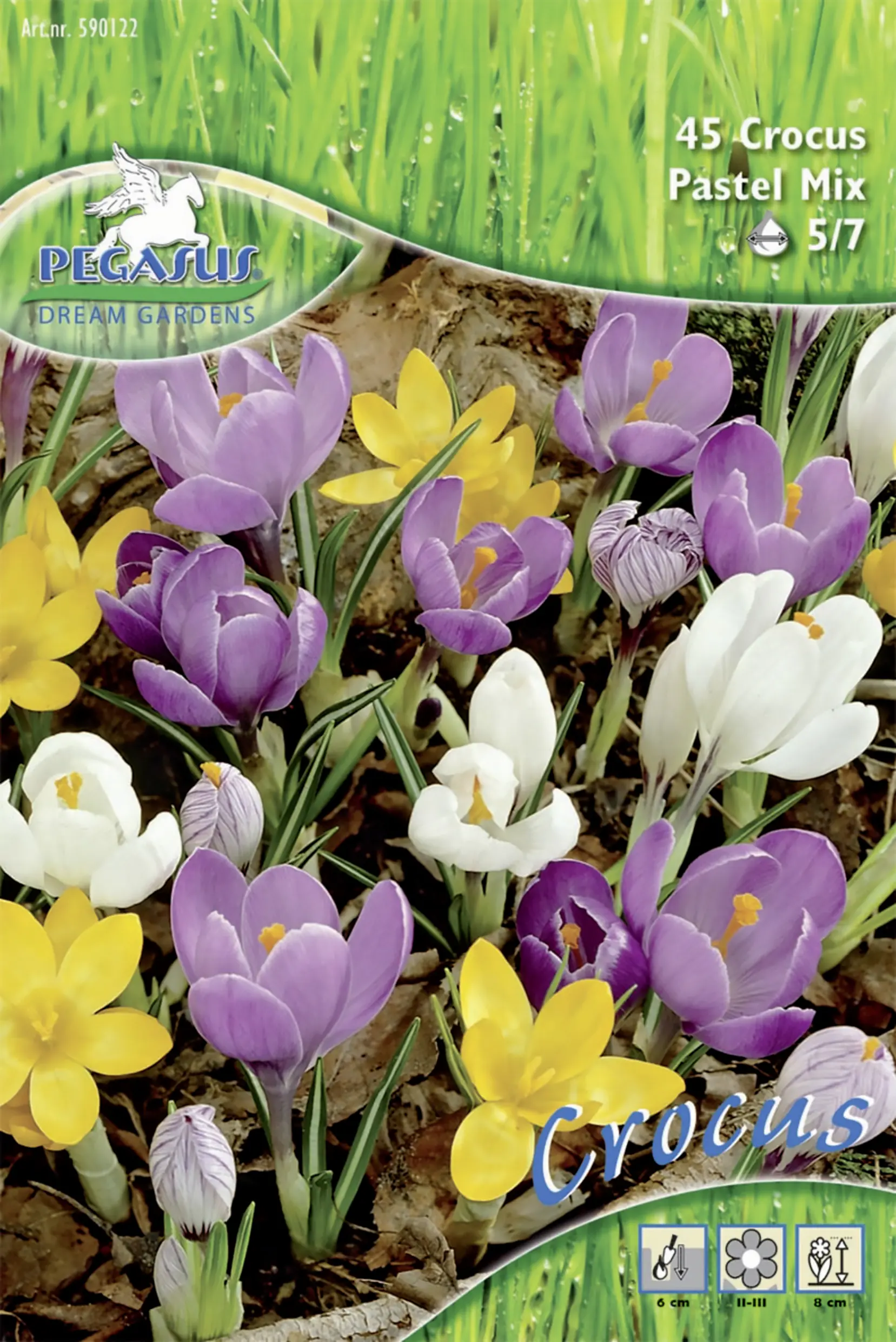 Pegasus Botanische Krokusse Pastell-Mix mehrfarbig 45 Stück